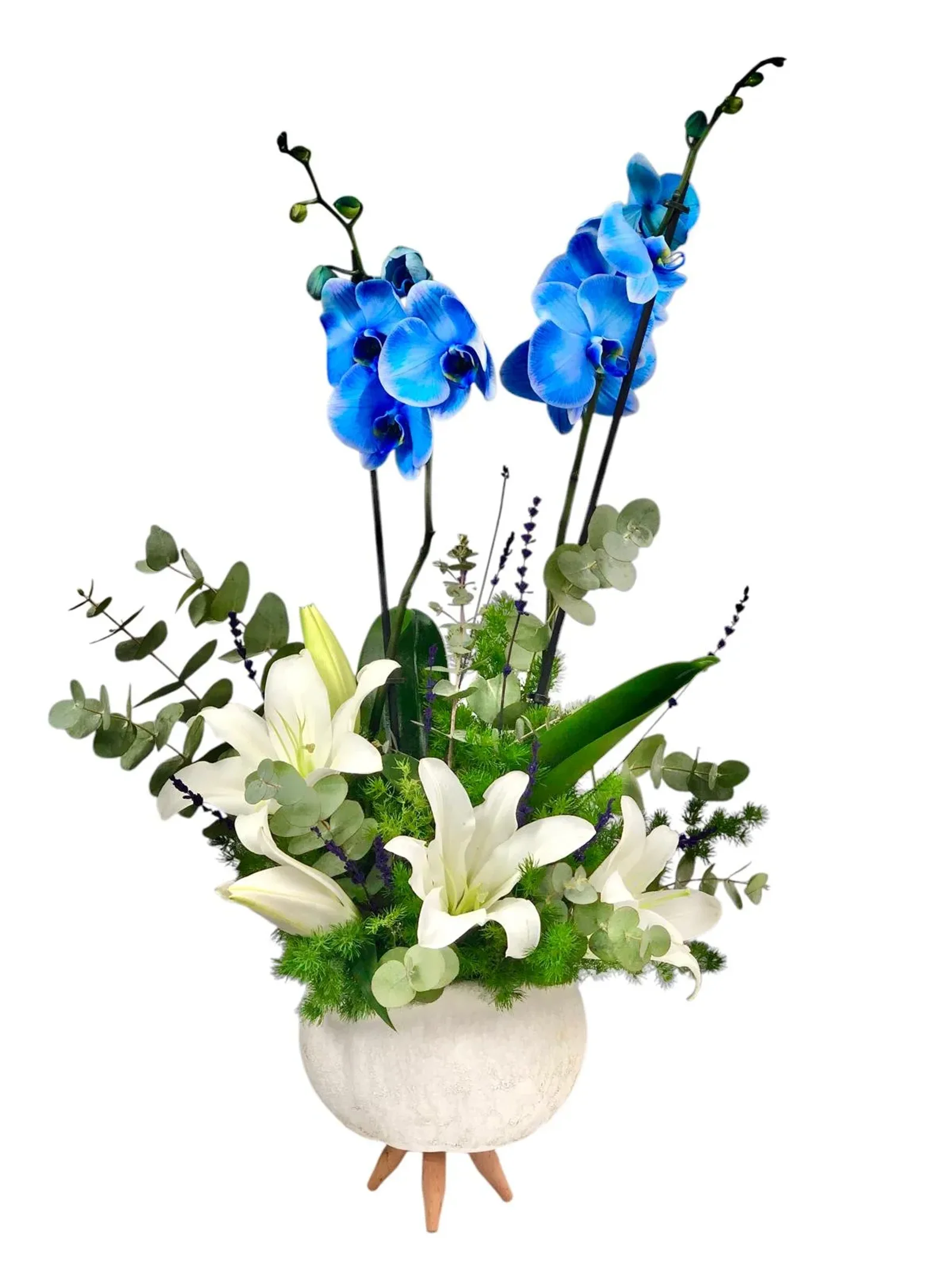 Lux Blue Orkide