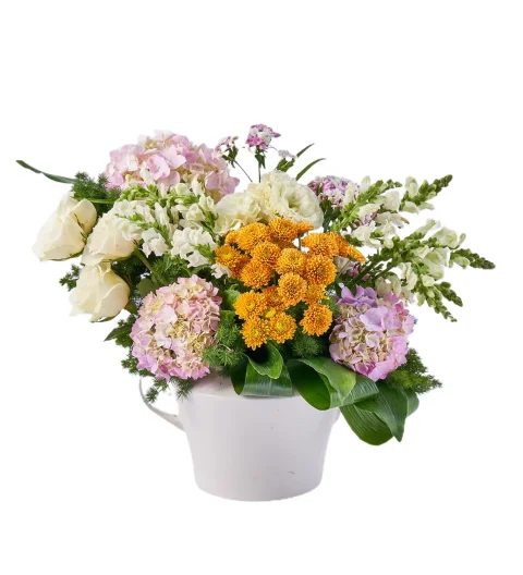 Premium Ortanca Design