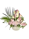 Lilac Flora - 2