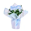 Saksıda Blue Kasımpatı