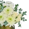 Olive Elegance - 2