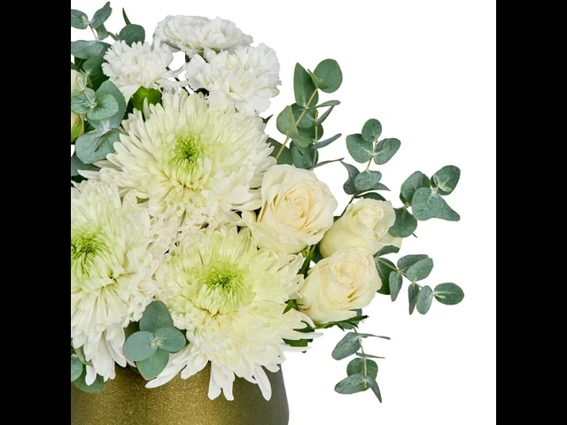 Olive Elegance - 2