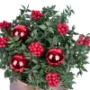 Bronze Berry - 3