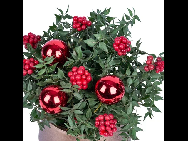 Bronze Berry - 3