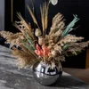 Bohemian Rhapsody Orchid - 4