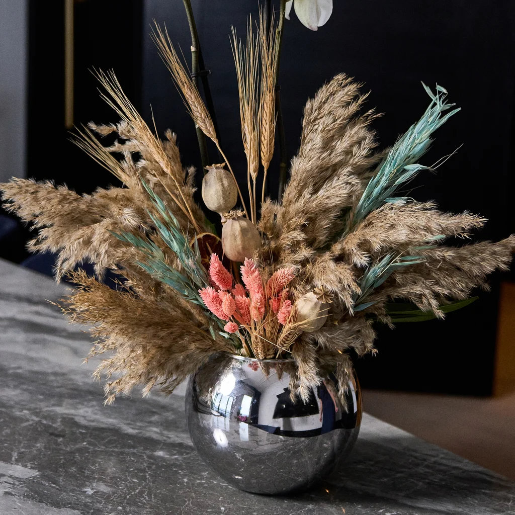 Bohemian Rhapsody Orchid - 5