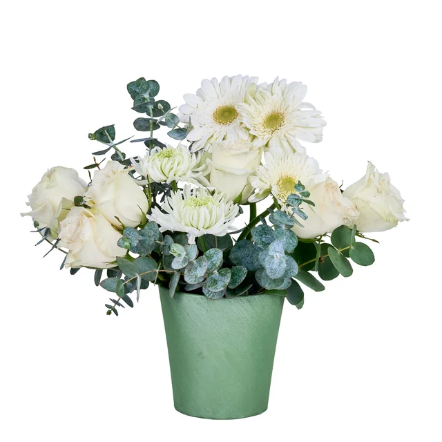 Minty White