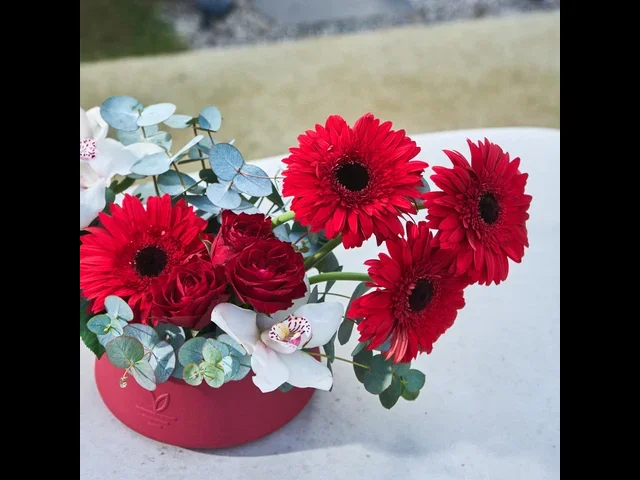 Red Vision - 2