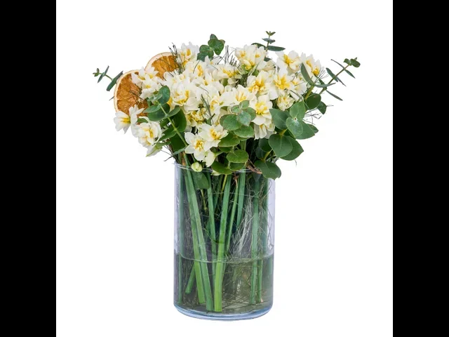 Narcissus Dream