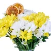 Mixed Papatya Bloom - 2
