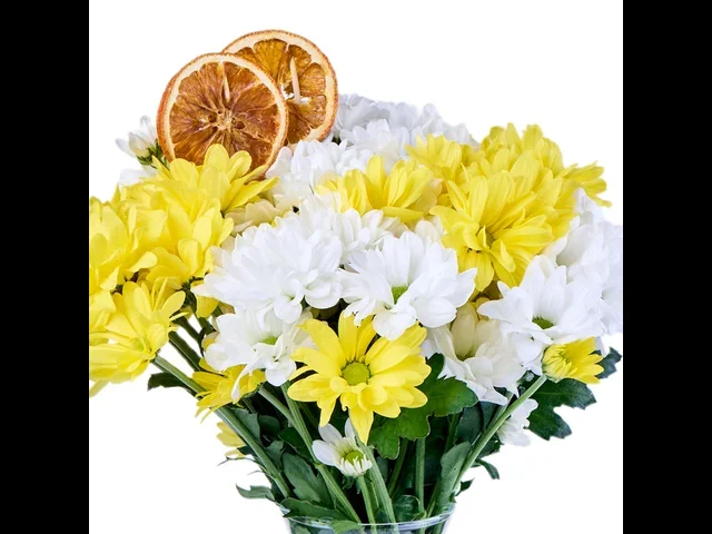 Mixed Papatya Bloom - 2