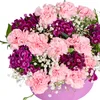 Fuchsia Berry Blend - 3