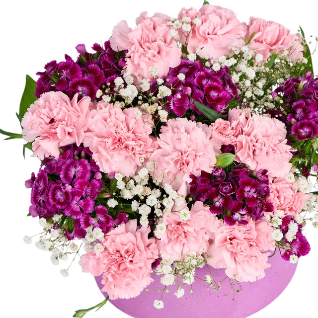 Fuchsia Berry Blend - 3