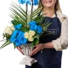 Blue Harmony Orkide - 3