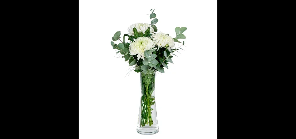 Vazoda Beyaz Kasımpatılar