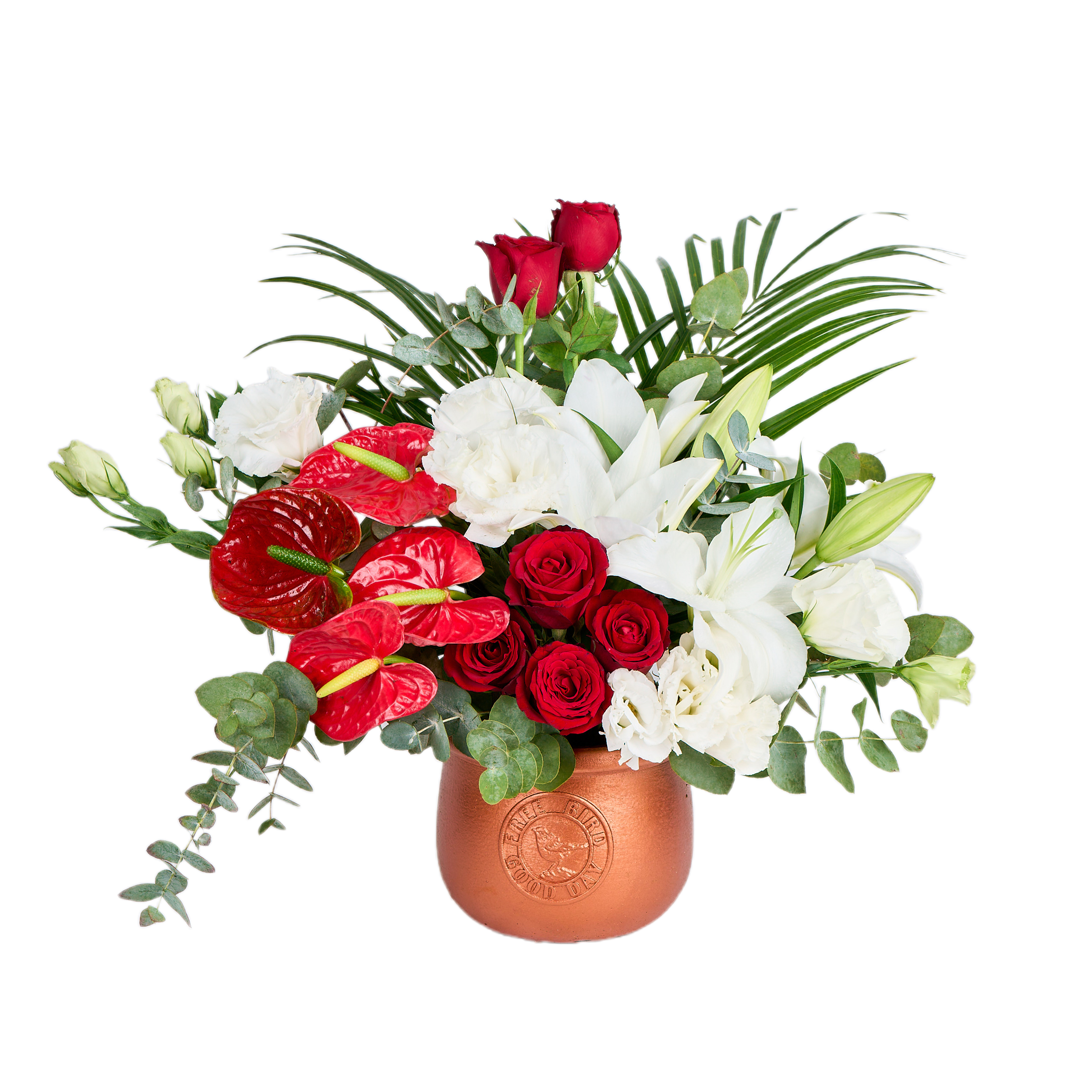 Magic Gift Harmony - 8