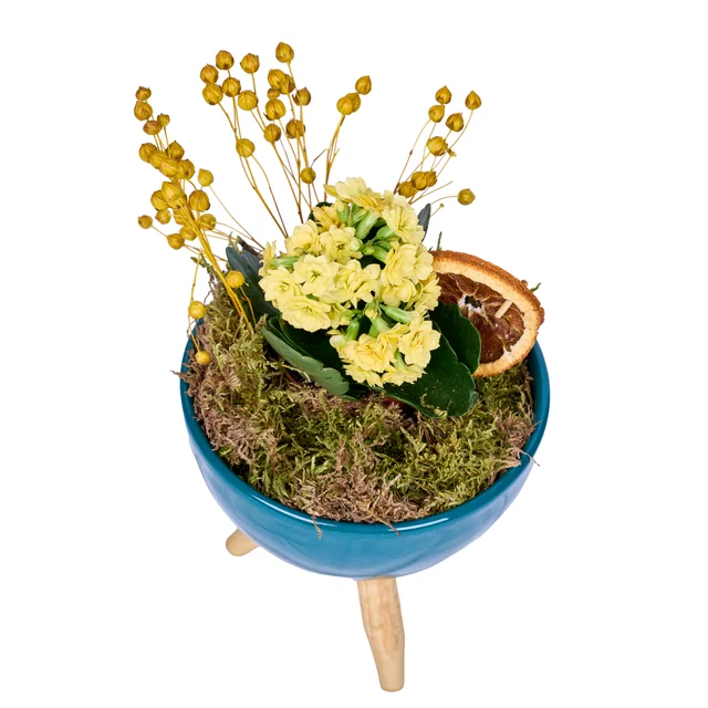 Vazoda Sarı Kalanchoe - 3
