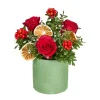 Red Winter Charm