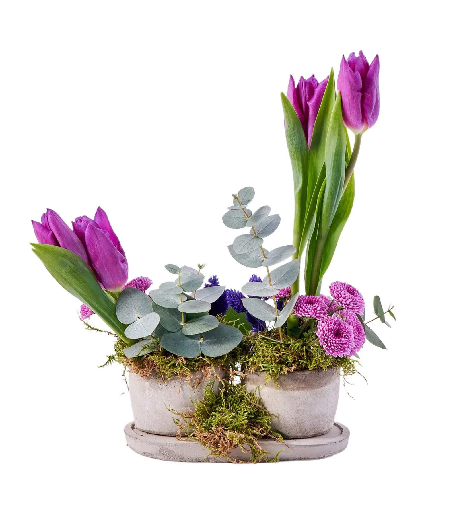Mix Purple Lale