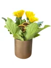 Sarı Saksı Gerbera