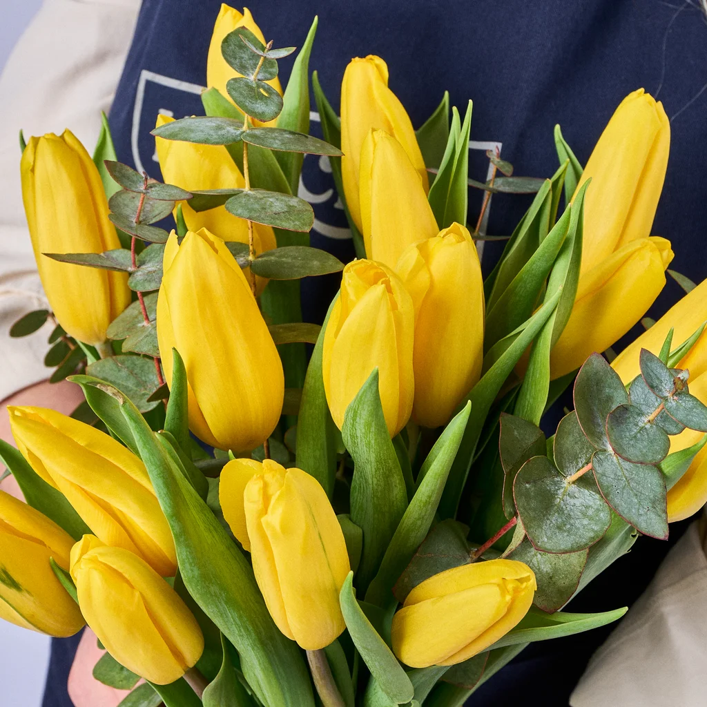 Yellow Queen's Lale - 4