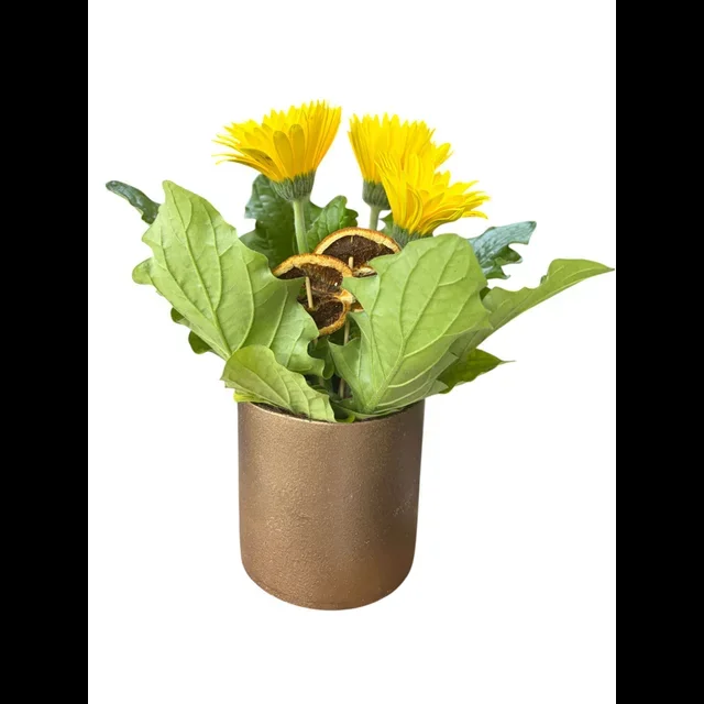 Sarı Saksı Gerbera