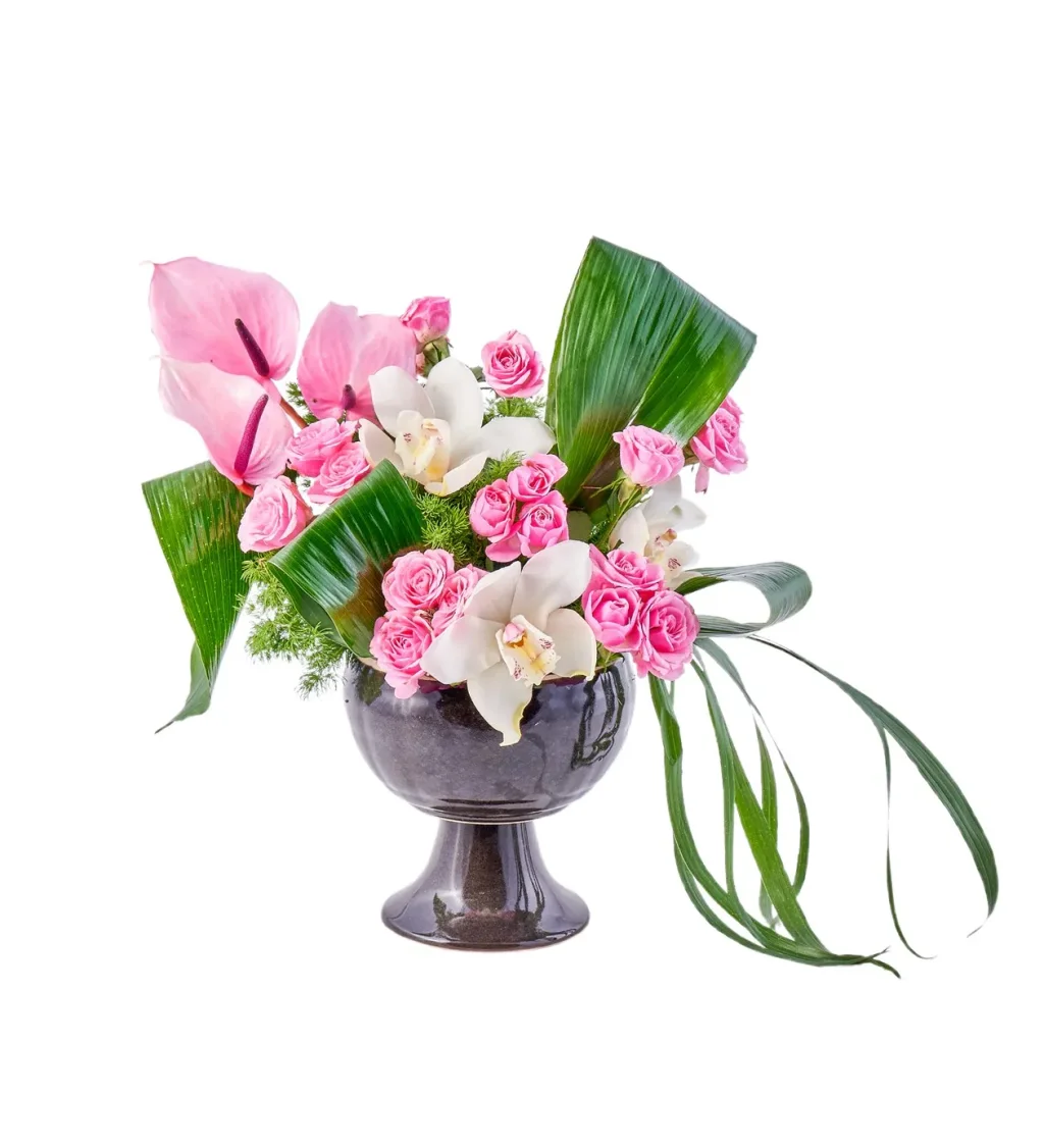 Premium Pink Feeling