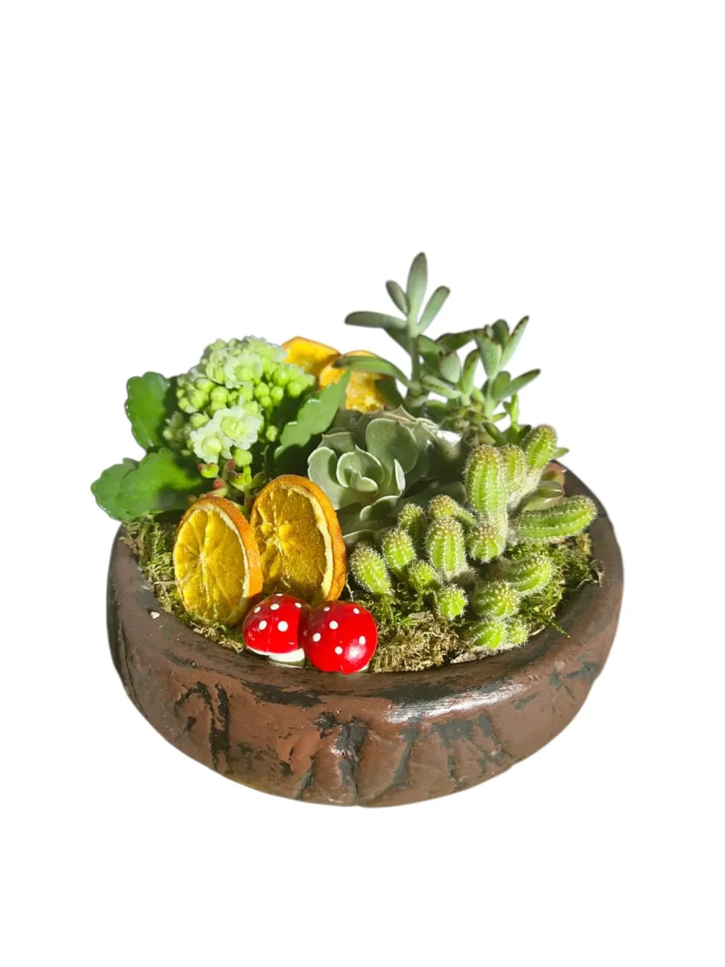 Lux Botanical Garden