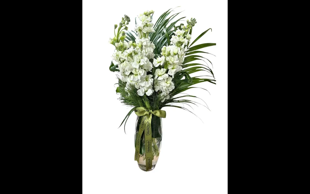 Vazoda Beyaz Şebboy