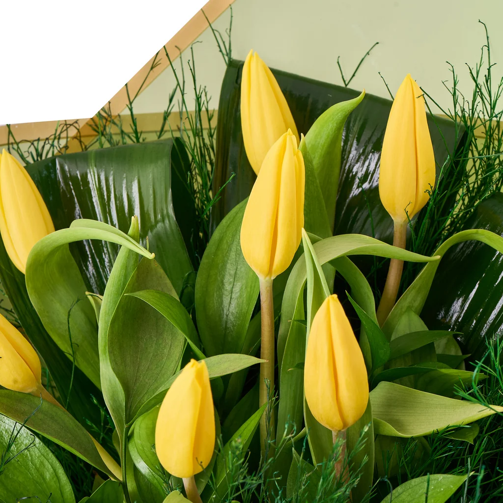 7'li Sarı Lale Buketi - 4