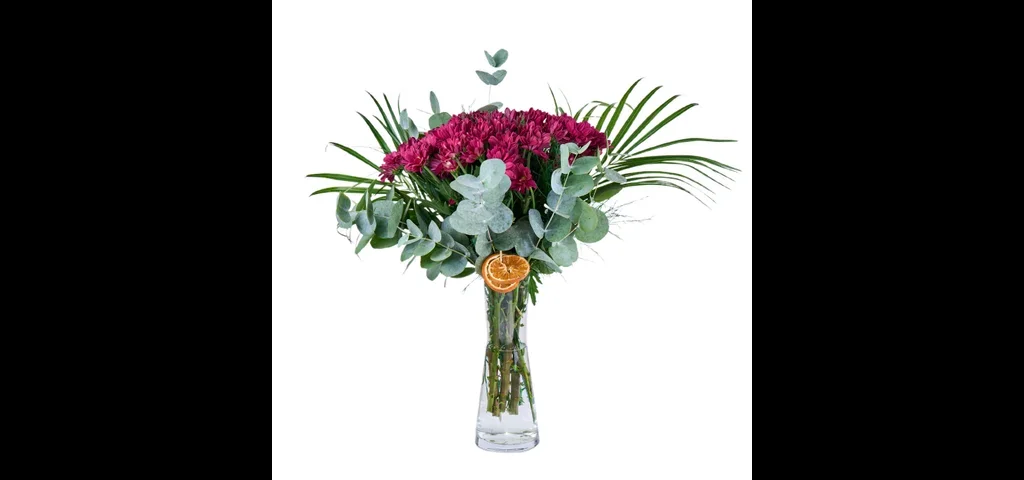 Vazoda Bordo Papatya