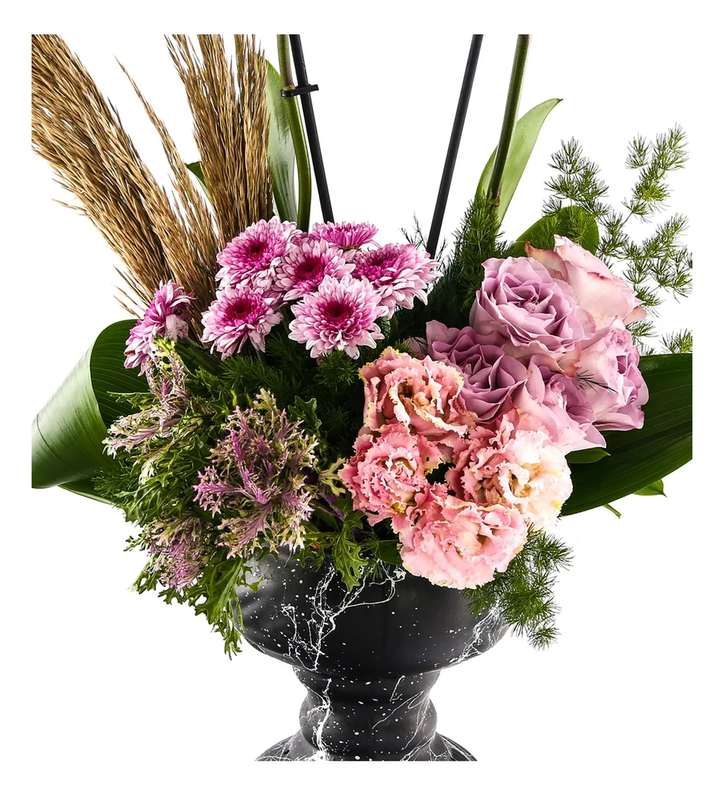 Premium Sense Orkide - 3