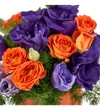 Purple Magic - 3