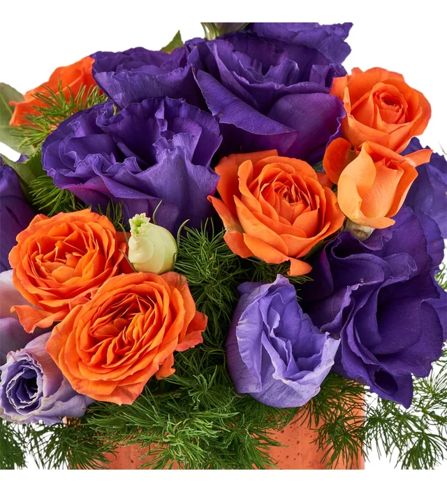 Purple Magic - 3