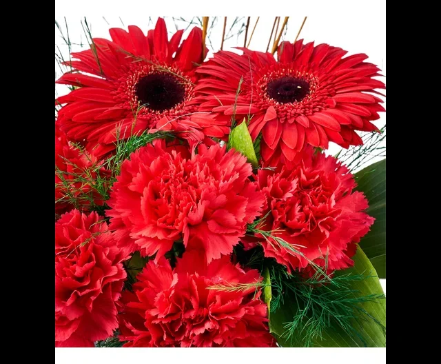 Red and Green Bloom - 3