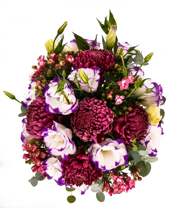 Fresh Colours Sensetive - 3