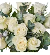 White Story Bloom - 3