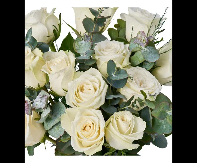 White Story Bloom - 3