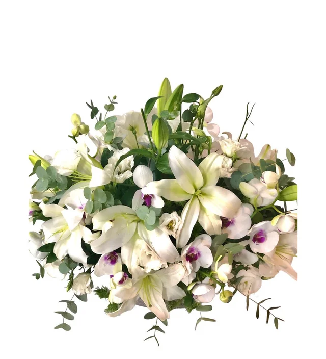 White Lilyum Party - 2