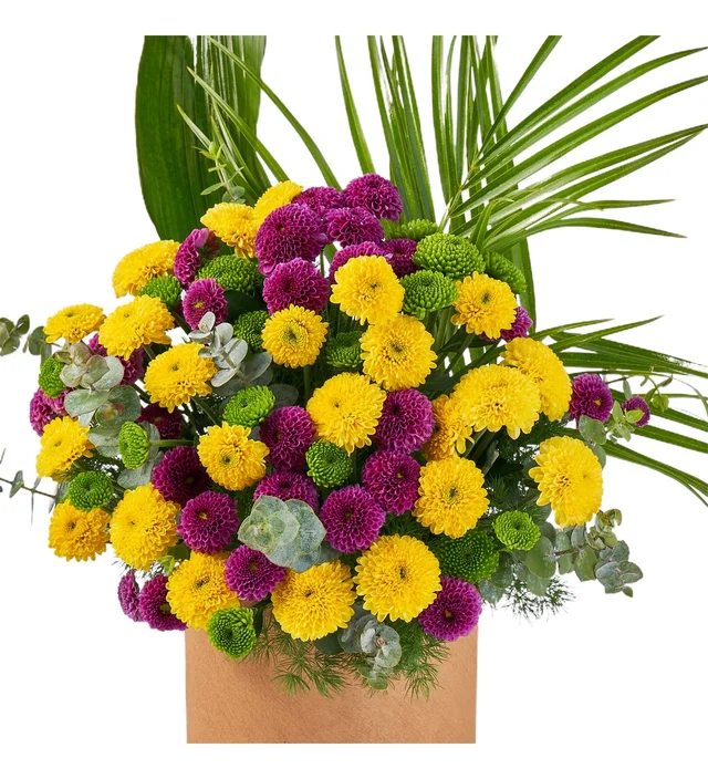 Renkli Dünyalar - 2