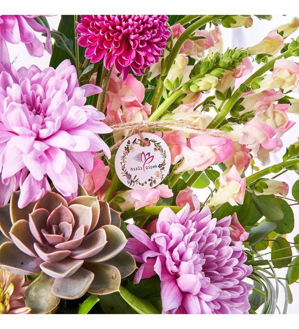 Premium Magic Gift - 5