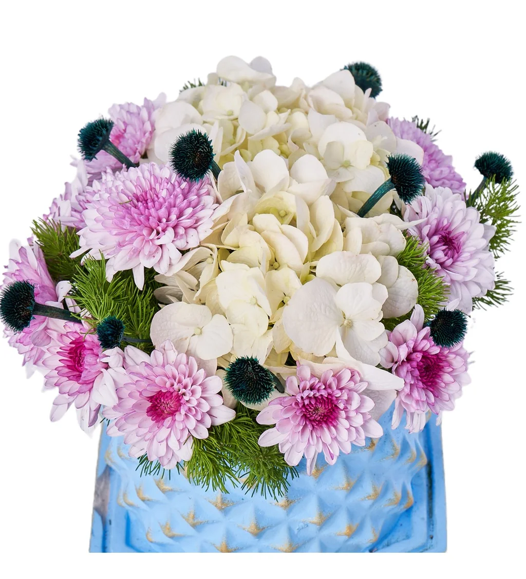 Ortancanın Gizemi - 4