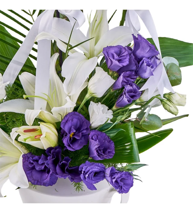 Premium Elegant Orkide - 2