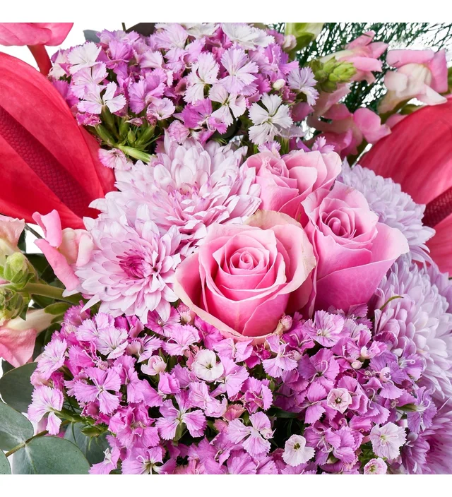 Pink of Feeling - 3