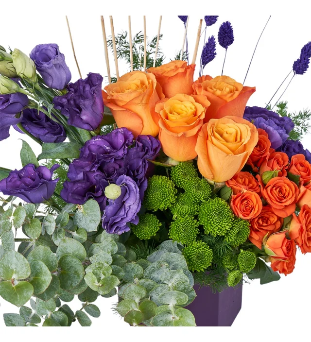 Summer Purple Gift - 3