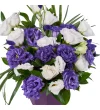 Purple Lisyantus Gift - 3
