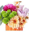 Orange Bloom - 2