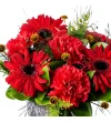 Kırmızı Karanfil ve Gerbera Çiçeği - 2