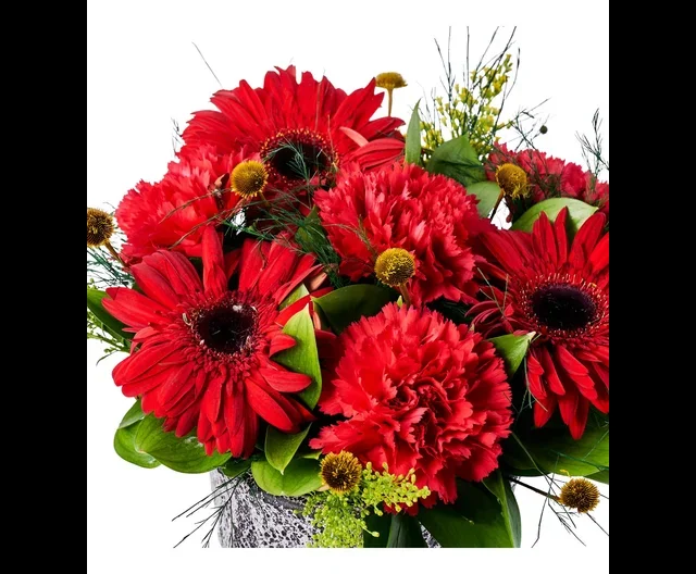 Kırmızı Karanfil ve Gerbera Çiçeği - 2