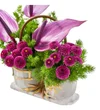 Purple Dream - 3